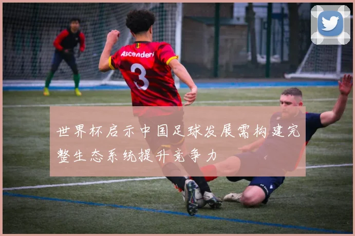 世界杯启示中国足球发展需构建完整生态系统提升竞争力