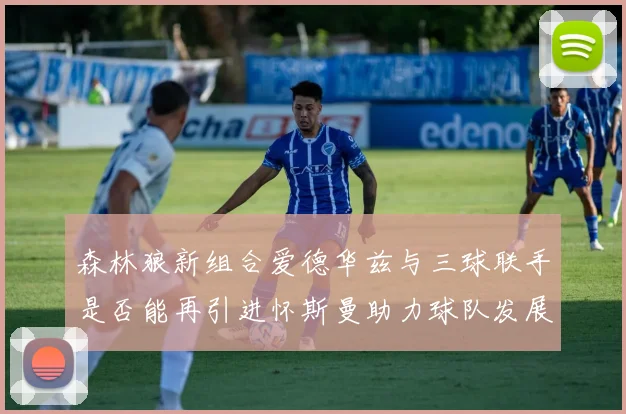 森林狼新组合爱德华兹与三球联手是否能再引进怀斯曼助力球队发展