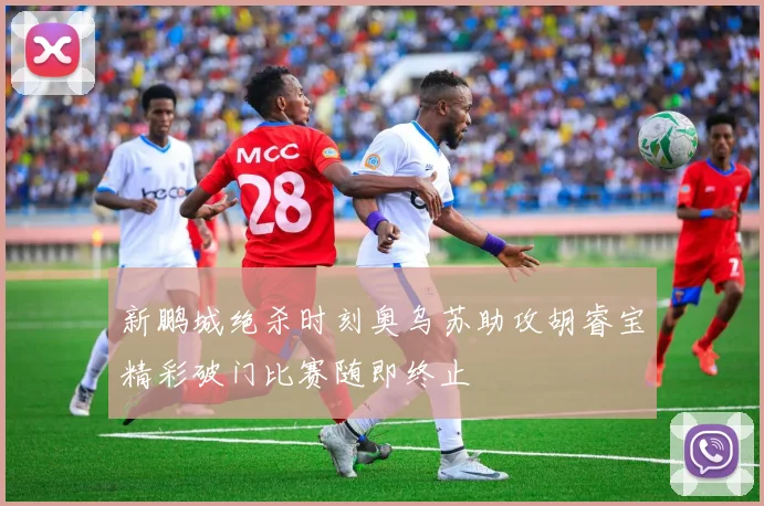 新鹏城绝杀时刻奥乌苏助攻胡睿宝精彩破门比赛随即终止