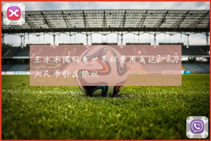 王冰冰揭秘看世界杯费用高达2-3万人民币引发热议